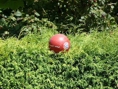 ball, football, red, fc bayern, fcb, hedge, in the green