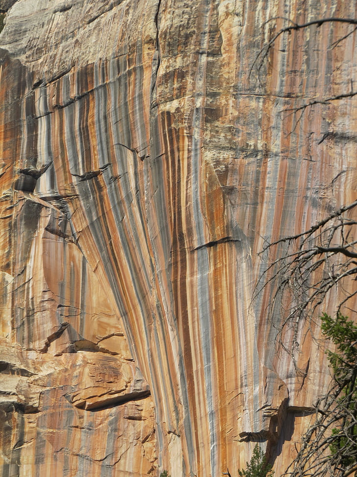 Grand canyon, Noord-rim, kleurrijke rotswand, kleurrijke