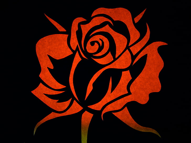 rose, flower, blossom, bloom, contour, outlines, silhouette