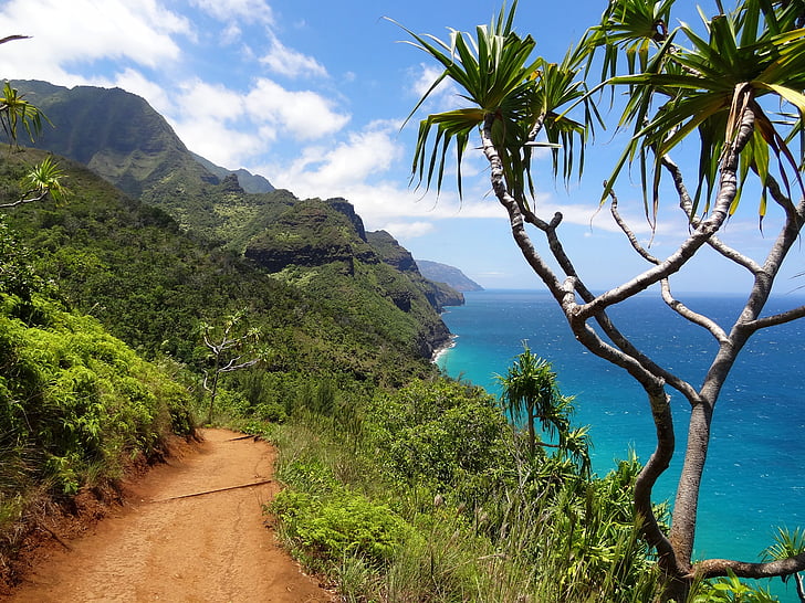 Napali coast, Kauai, Nawiliwili, nature, Hawaii, paysage, Parc national
