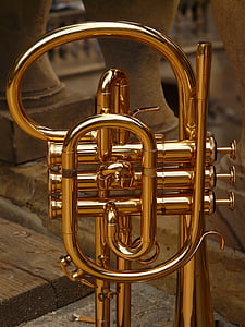 fliscorne, instrumento de bronze, corneta, instrumento, lustro, ouro, golpe