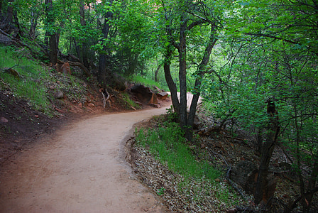 zion national park, path, national park, utah, nature, trees, vacation