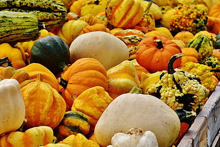 dynie, jesień, Jesienna Dekoracja, żniwa, dynie ozdobne, Dekoracja, pomarańczowy