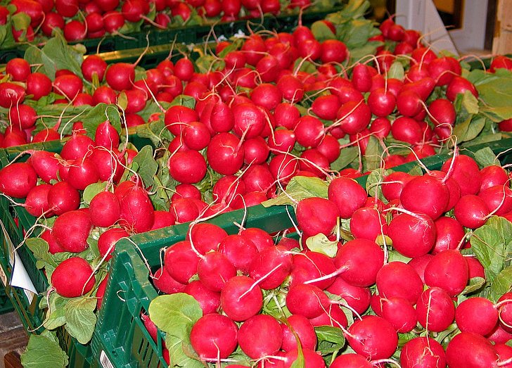 radishes, vegetables, food, eat, red, healthy, market