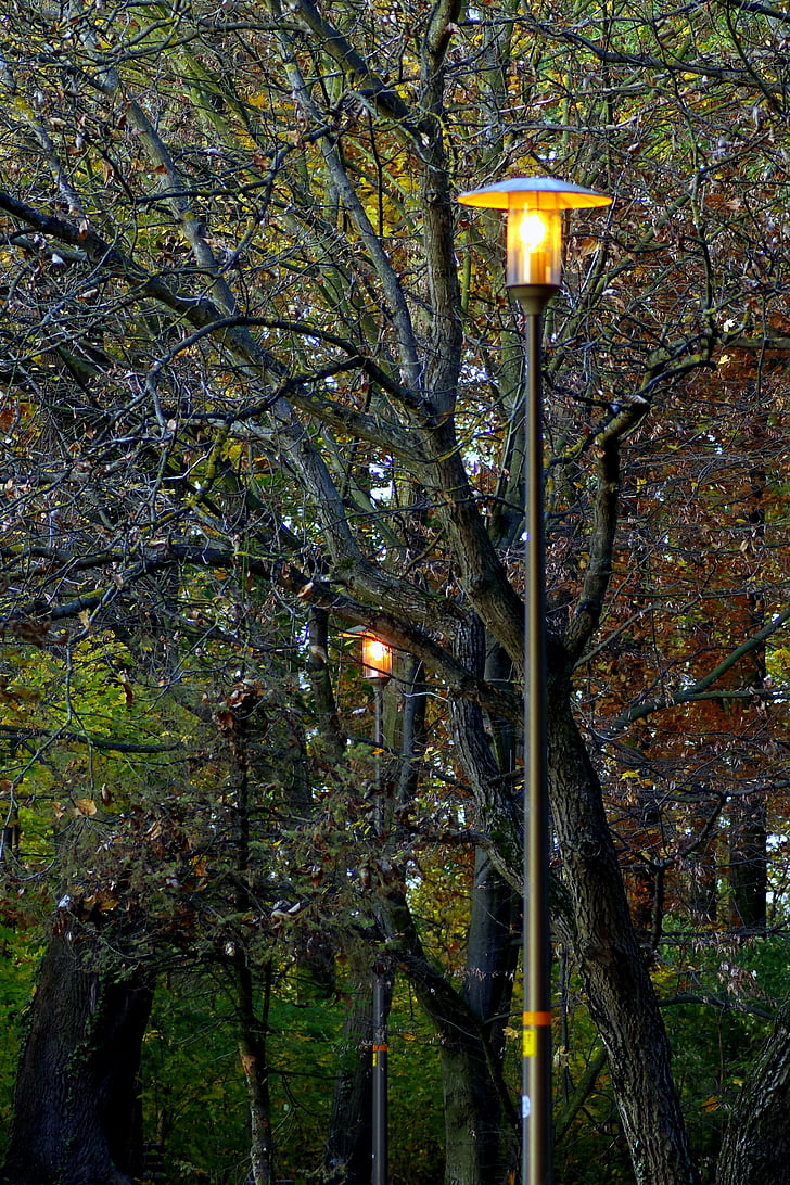 парк, Есен, Златни, зеленина, лампа, вечерта, bolko