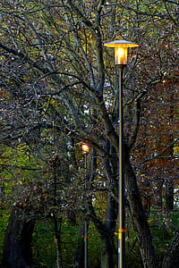 парк, Осінь, Золотий, листя, лампа, вечір, bolko