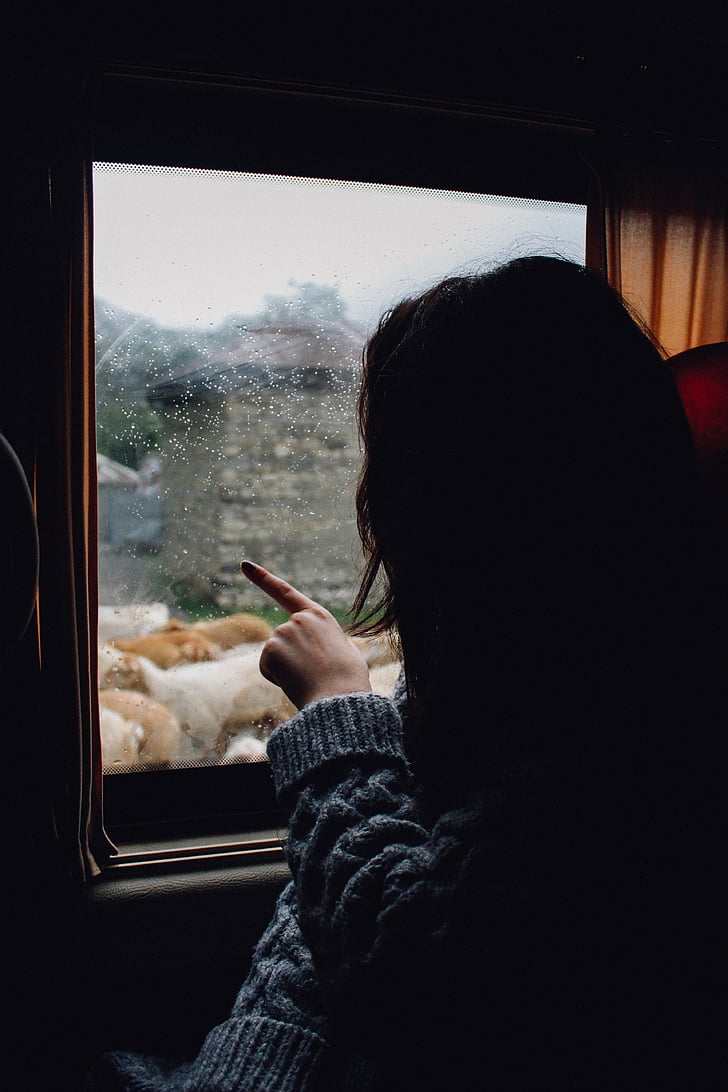 animals, bus, person, sweater, window, woman, women