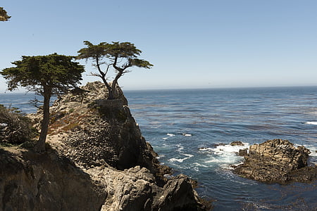 παραλία με βότσαλα, ακτογραμμή, Καλιφόρνια, ΗΠΑ, Ειρηνικού, Ωκεανός, στη θάλασσα