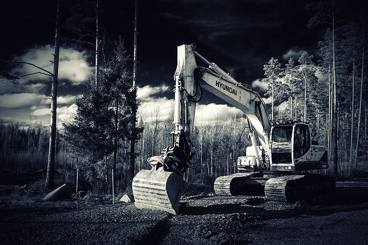 excavator, forest, construction machine, black and white, machine, the device, industry