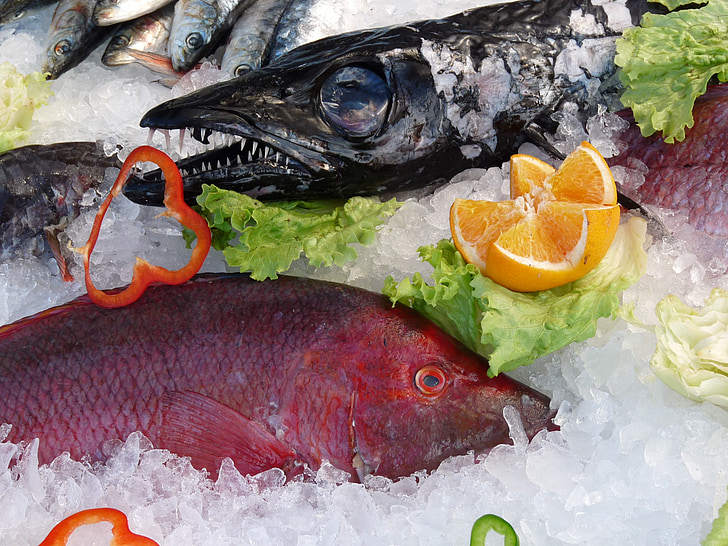 ปลา, น้ำแข็ง, สีส้ม, ธุรกิจ, ตลาด, ร้านอาหาร, ฟัน