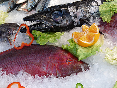 fish, ice, orange, business, market, restaurant, tooth