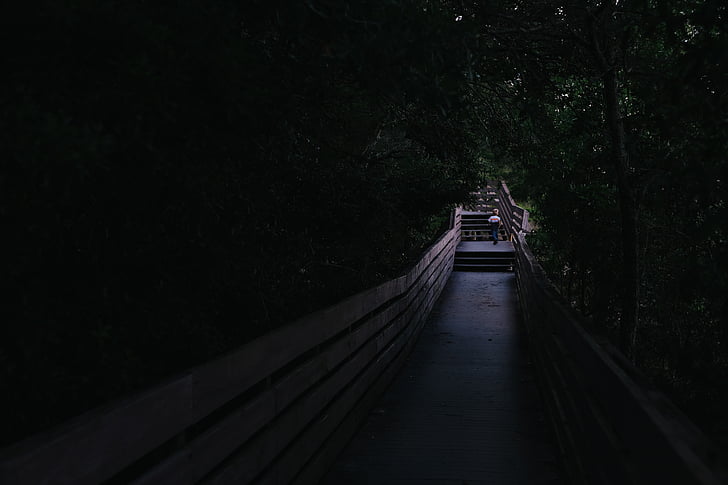 people, walking, travel, alone, pathway, bridge, dark