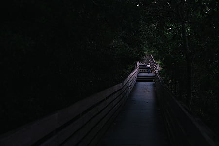orang-orang, berjalan, perjalanan, sendirian, jalur, Jembatan, gelap