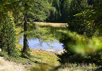 Wandern, Teich, Biotop, Landschaft, Alpine, Herbst, Natur