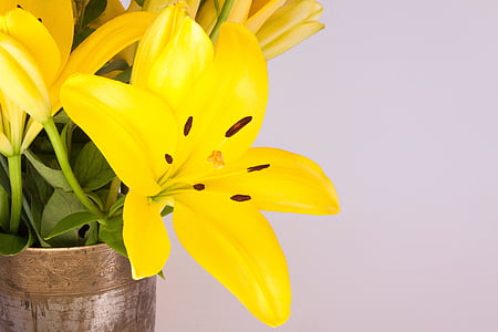 bouquet, lily, yellow, nature, flower, blossom, bloom