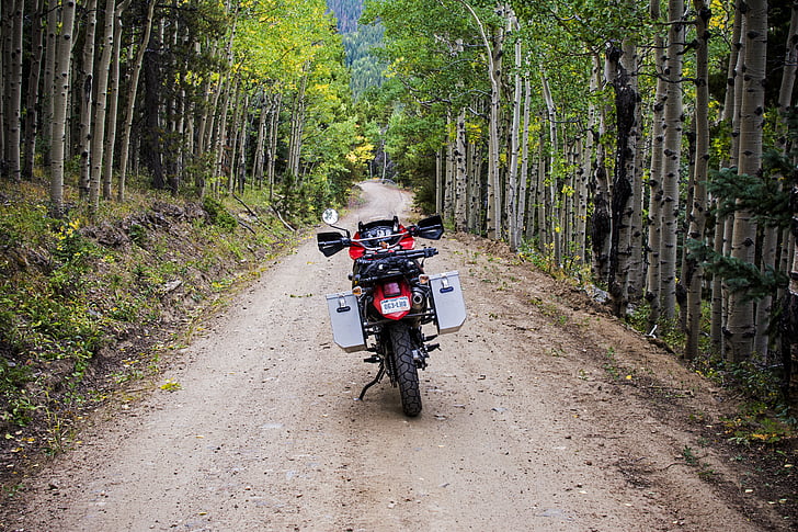 aventura, Aspen, copacii Aspen, biciclete Dirt, murdărie rutier, toamna, frunze de toamna