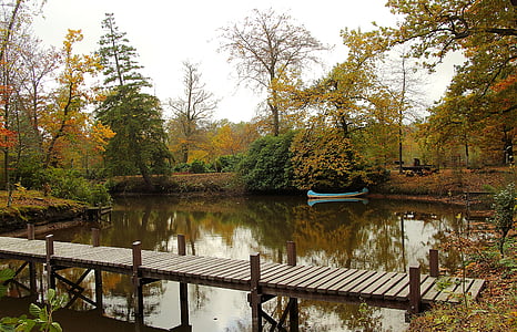 pond, web, canoeing, nature, lake, water, landscape
