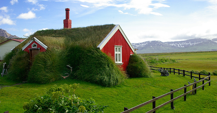 Island, bordafjordur, tagdækning, græs