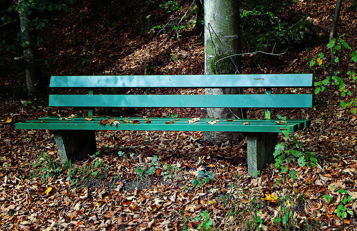Herbst, Bank, Sitz, aus, Blätter, Wald, Bäume