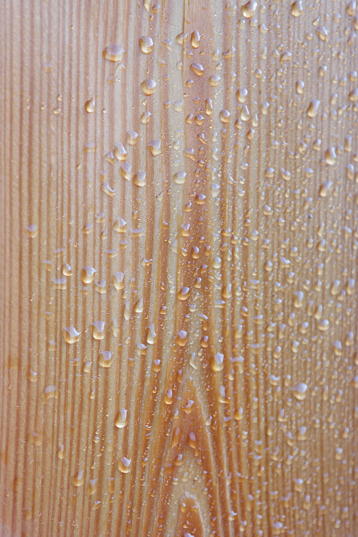 wood, drip, rain, drop of water, nature, weather
