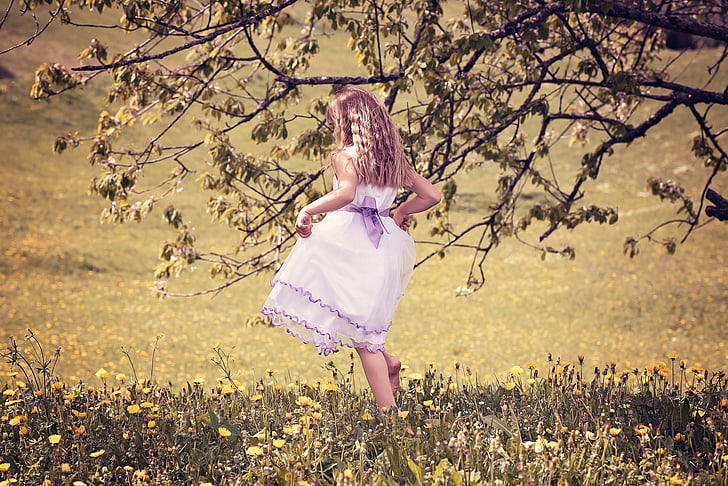 person, human, child, girl, dress, meadow, out