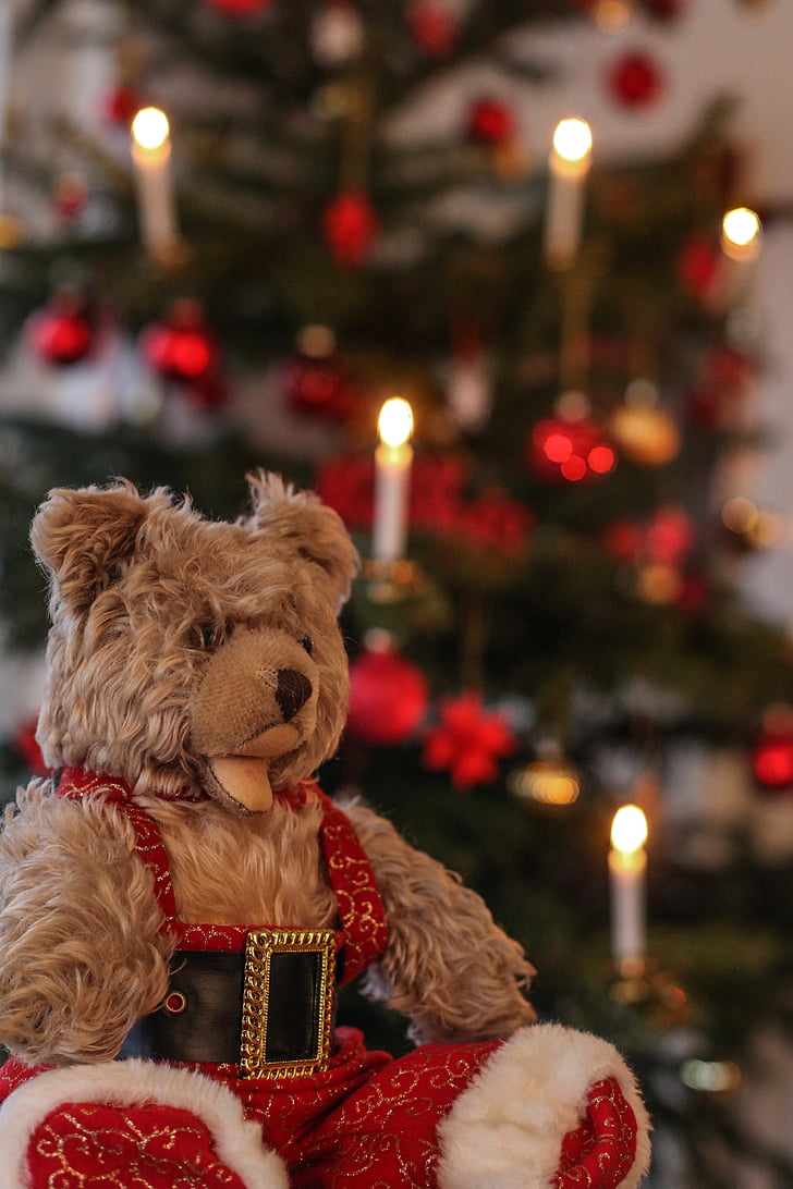 Teddy, joulu, kynttilät, pehmolelu, Antique, nostalginen, Lasten lelut