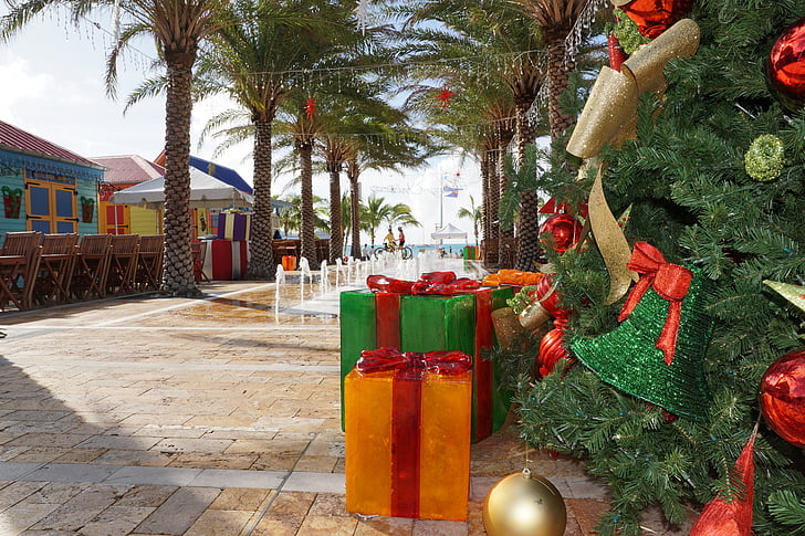 Philipsburg, St. maarten, Karibská oblast, cesta, Palmové stromy, Vánoční, dekorace