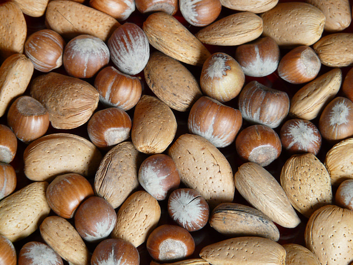 nuts, almonds, hazelnuts, walnuts, christmas, food, winter food