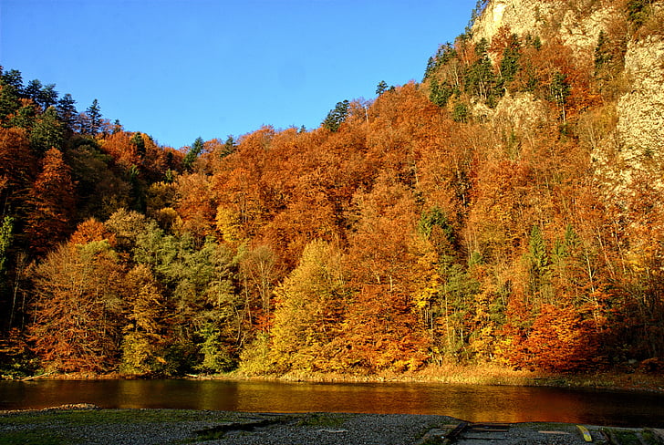 Pieniny, Dunajec, hojas de otoño, colores, Ver, naturaleza, Río