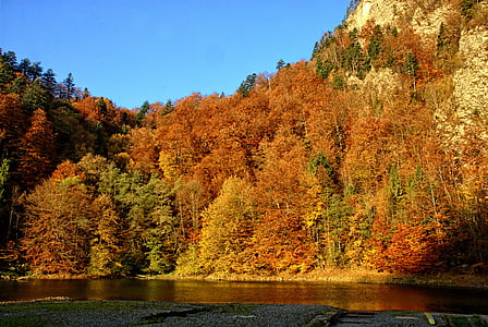 ピエニィニ, ドゥナイェツ, 秋の紅葉, 色, ビュー, 自然, 川