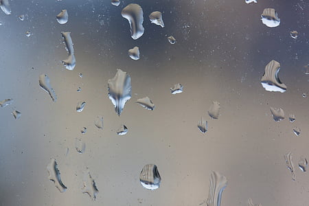 dež, kaplja dežja, okno, kapljično, mokro, beaded, mikrokozmos