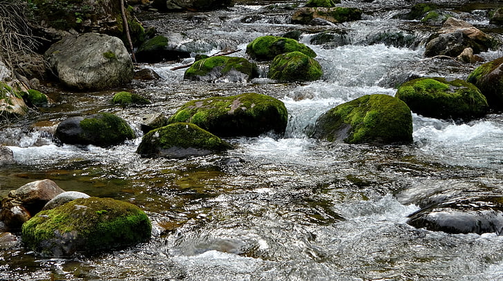 tatry, mountains, landscape, torrent mountain, water, nature, the stones