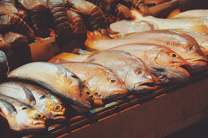 pelēka, sarkana, ēdami, zivis, tirgus, omāri, jūras veltes