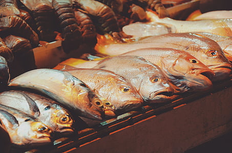 sivá, červená, jedlé, ryby, trhu, homáre, plody mora
