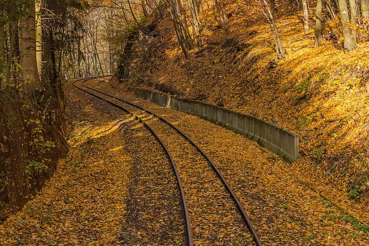 jeseni, rumena, tirih, avarskih, železniški, narave, gozd