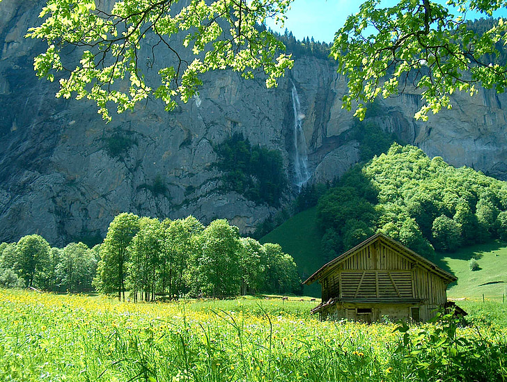 Schweiz, träd, landskap, resor, natursköna, Mountain, bergen