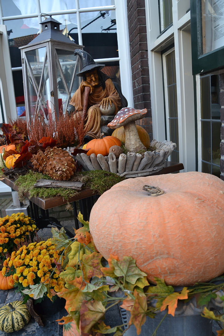 helloweenm, decoração de Cucurbita, humor de outono, apresentação, Outono, abóbora, Outono