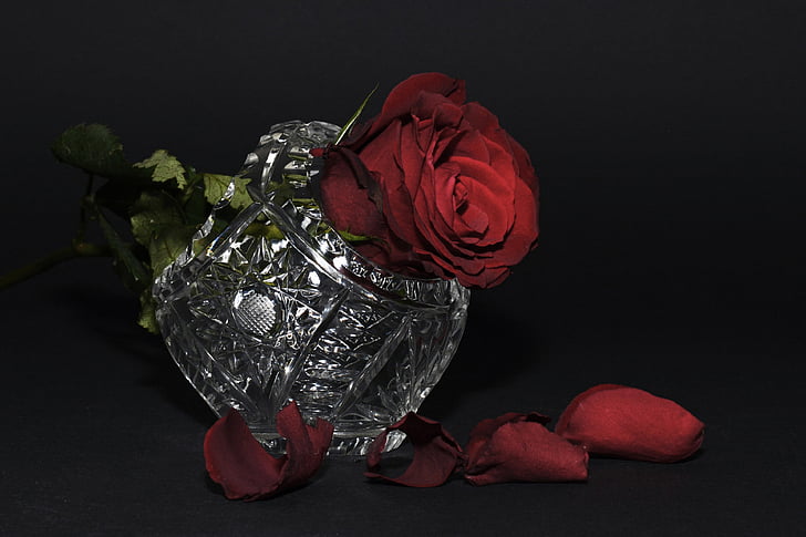 rose, red rose, rose petals, crystal basket, crystal, glass, flower