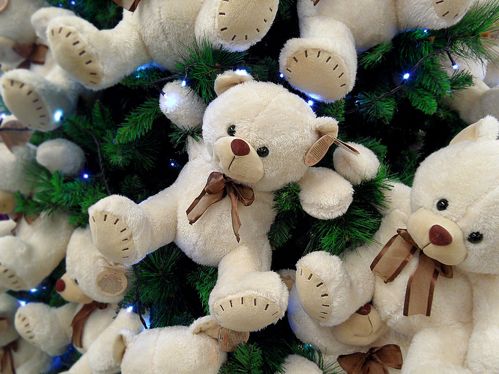 Bear cub, jul, björnar, träd, djur