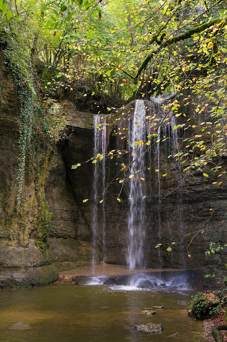 cascade, river, water, waterfall, pierre, landscape, forest