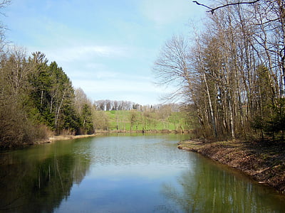 waldsee, 春天, 上部巴伐利亚, achental, 镜像, 天空, 蓝色