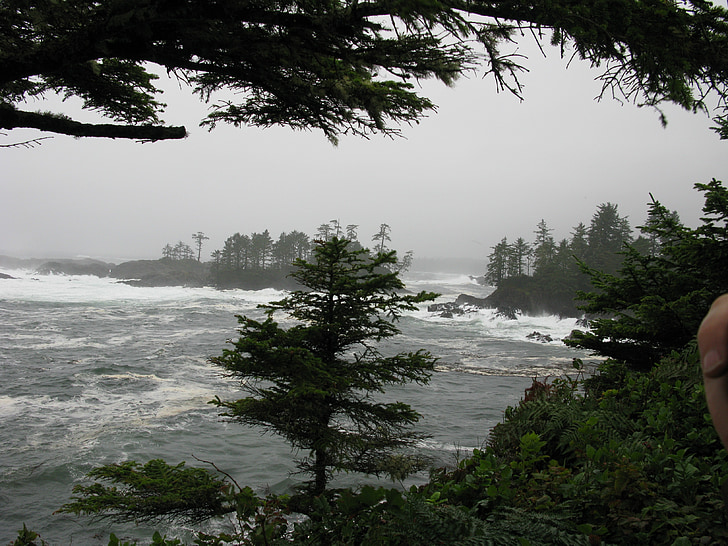tempestade, ondas, Tofino, Ilha de Vancouver, do Pacífico, oceano, cenário