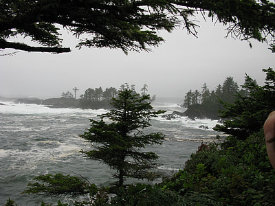 tempesta, ones, Tofino, illa de Vancouver, del Pacífic, oceà, paisatge