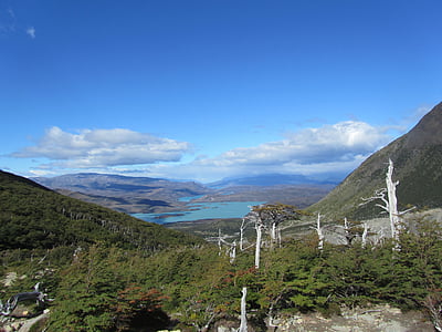 Patagonia, Cile, Torres del paine, Taman Nasional, Valle frances, alam, Lembah