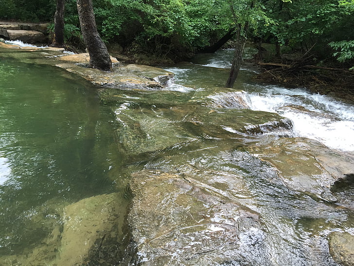 Chickasaw за отдих, поток, природата, река, гора, дърво, вода
