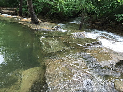 area ricreativa Chickasaw, diretta streaming, natura, fiume, foresta, albero, acqua