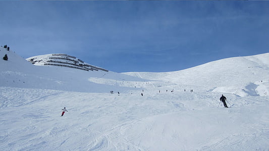 스키, 겨울, 눈, 스키, 오지 skiiing, 산, 알파인