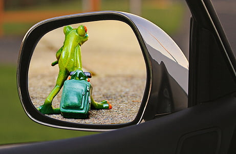 time to go, frog, farewell, sad, luggage, trolley, funny