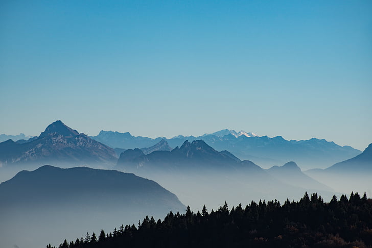 trees, silhouette, within, mountain, range, fog, highland