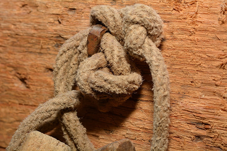 rope, cord, knot, wood, natural materials, one animal, animal wildlife
